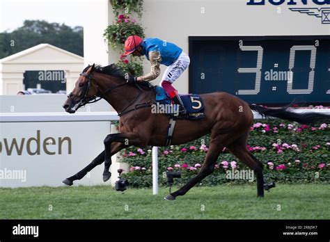 ascot racing results|Royal Ascot 2023 results: Frankie Dettori triumphs on Gregory.
